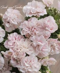 000000007524_tydnEfY