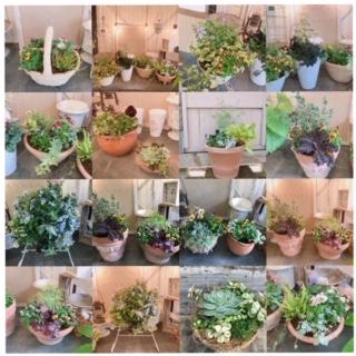 Processed with MOLDIV