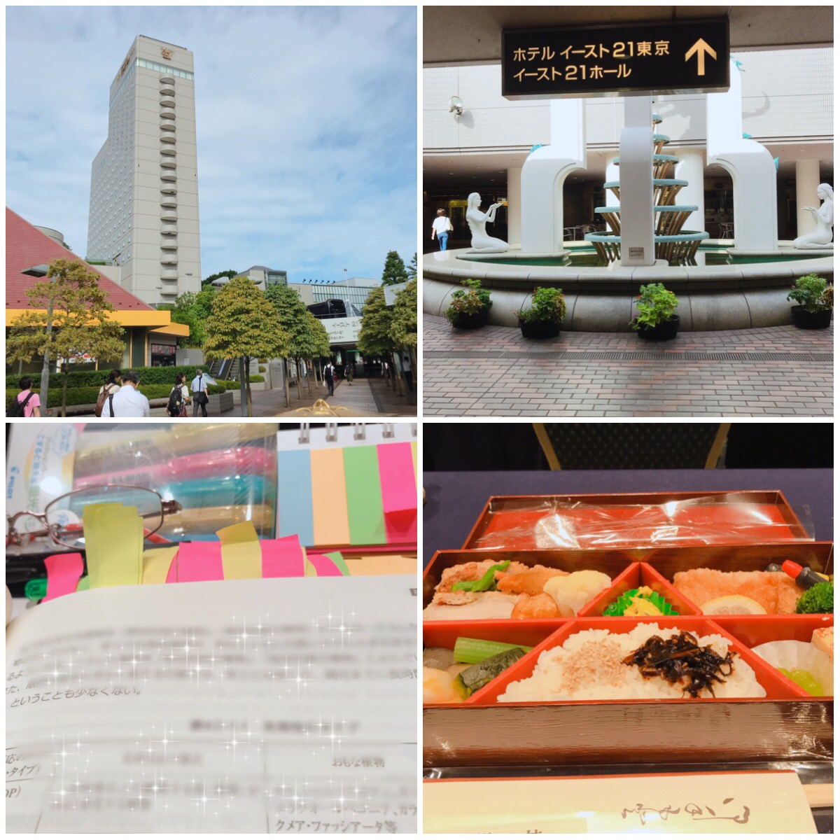 Processed with MOLDIV