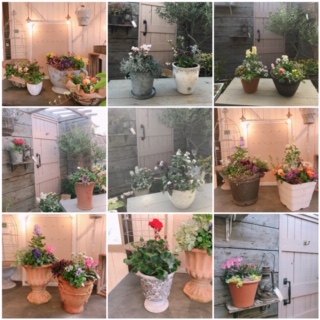 Processed with MOLDIV