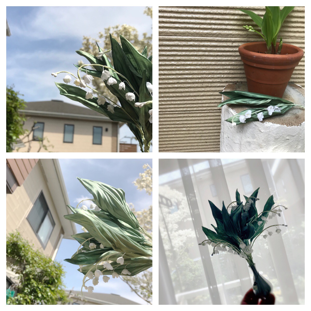 Processed with MOLDIV