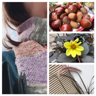 Processed with MOLDIV