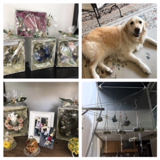 Processed with MOLDIV