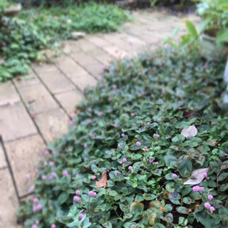 Processed with MOLDIV