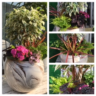 Processed with MOLDIV