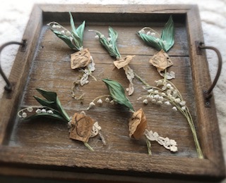 Processed with MOLDIV