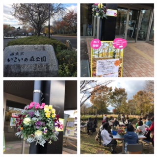 Processed with MOLDIV