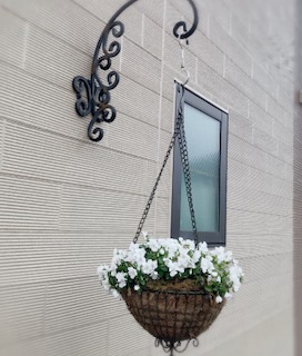 Processed with MOLDIV