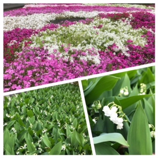 Processed with MOLDIV