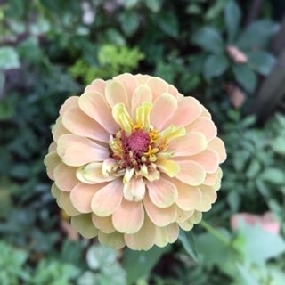 Processed with MOLDIV