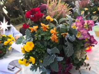 Processed with MOLDIV