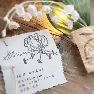 Processed with MOLDIV