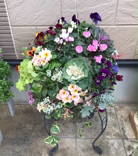 Processed with MOLDIV