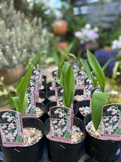 vvvvvvvvvvvvvvvvvvvv