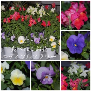 Processed with MOLDIV